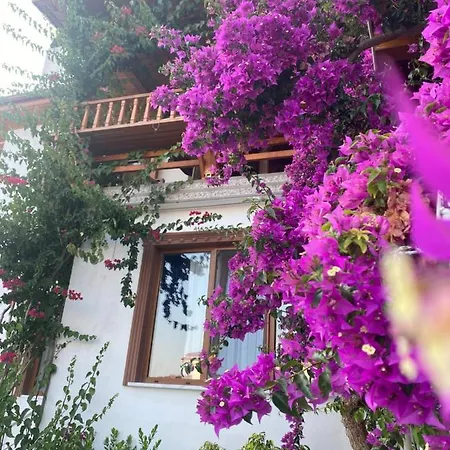 Villa Tomsan Akyaka (Mugla)