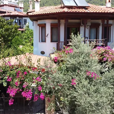 Tomsan Akyaka Akyaka (Mugla)