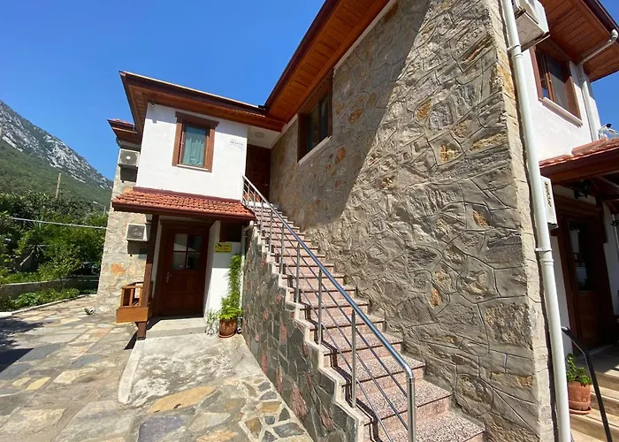 Tomsan * اكياكا