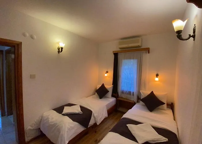 فيلة Tomsan اكياكا