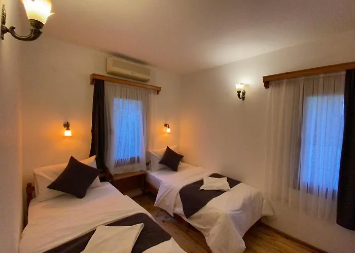 فيلة Tomsan اكياكا