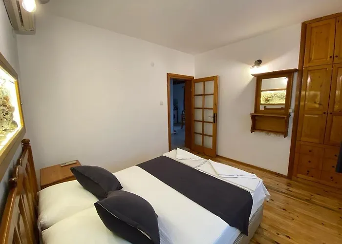 Tomsan فيلة اكياكا