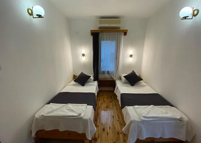 Tomsan فيلة اكياكا