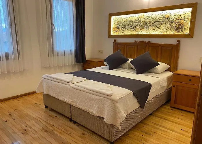 Tomsan * اكياكا