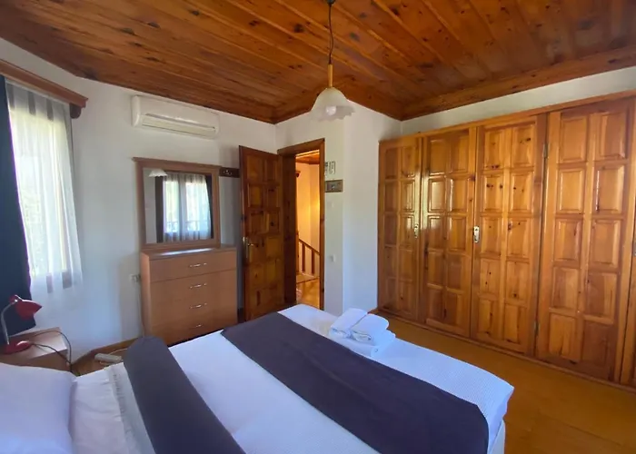 Tomsan فيلة اكياكا