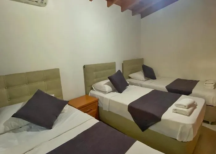 فيلة Tomsan اكياكا