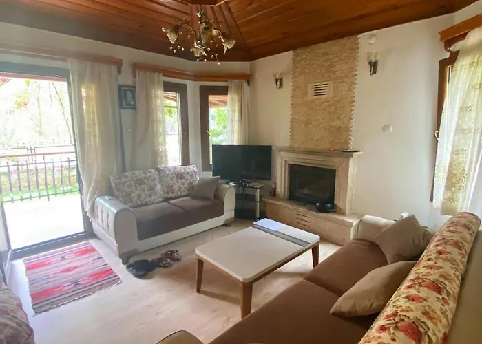 فيلة Tomsan اكياكا