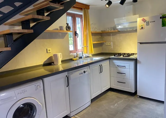 Tomsan فيلة اكياكا