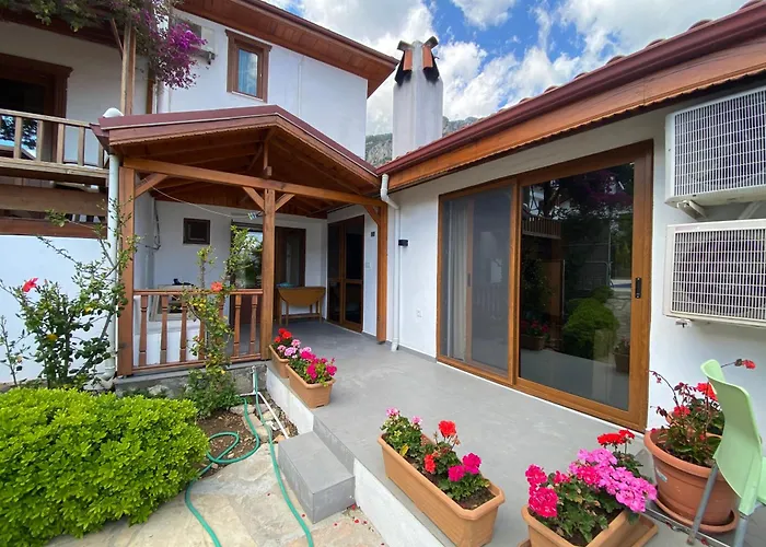 Tomsan فيلة اكياكا