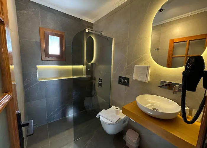 فيلة Tomsan اكياكا