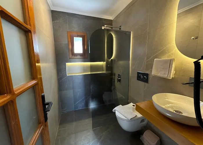 Tomsan فيلة اكياكا