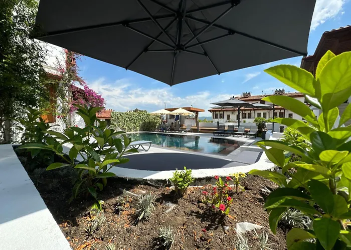 فيلة Tomsan اكياكا