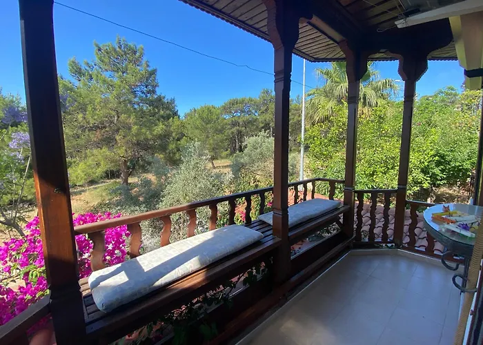 فيلة Tomsan اكياكا