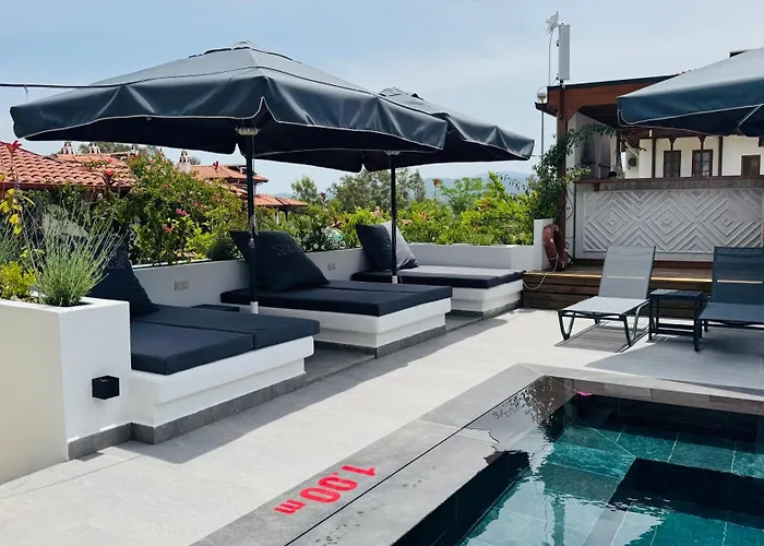 Tomsan * اكياكا